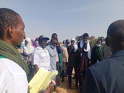 Quelques images de la visite guidée dans le cadre de l'activité de sensibilisation sur  l’importance de la protection de l’environnement à l’endroit des  scolaires au niveau du site arboretum de l’Université de Diffa.